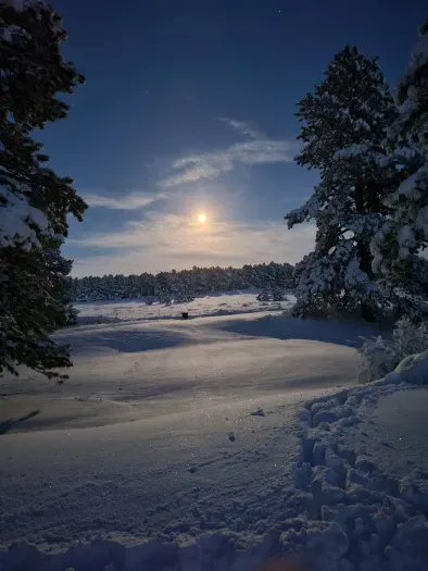 Looking across the property in February 2022.