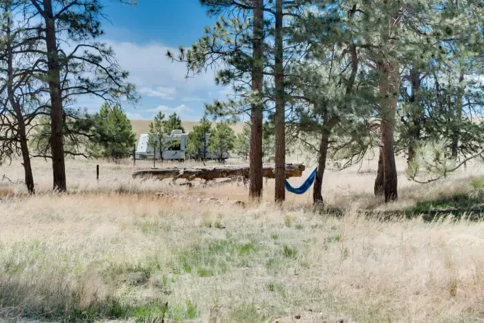 Hammock for an afternoon nap