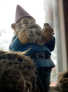 A gnome....Ada