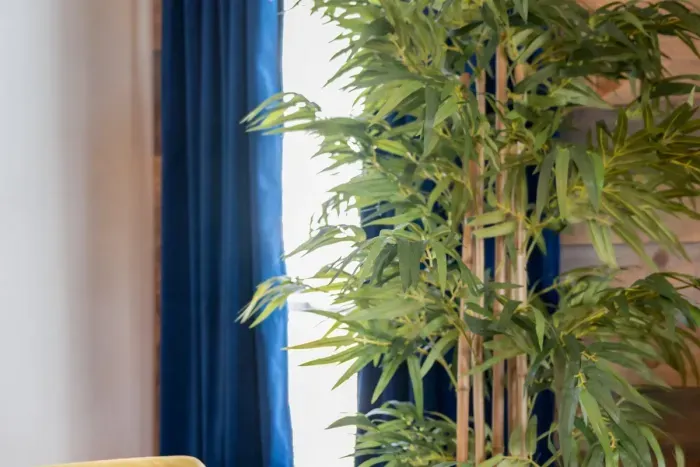 You won’t get the blues here, baby!