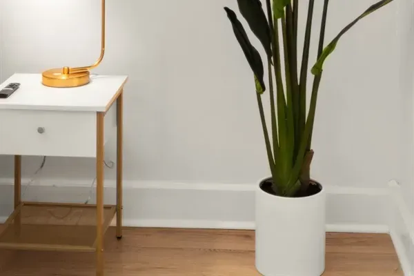 Green & gold touches throughout.