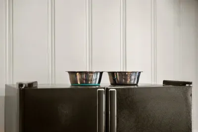 Dog bowls for your pup!