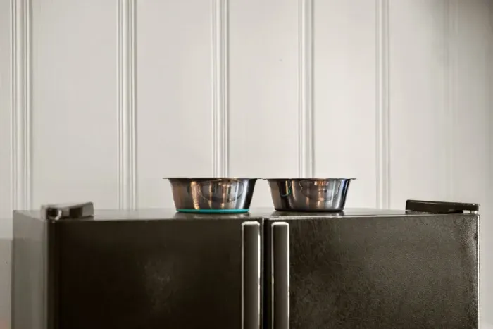 Dog bowls for your pup!