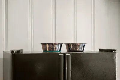 Dog bowls for your pup!