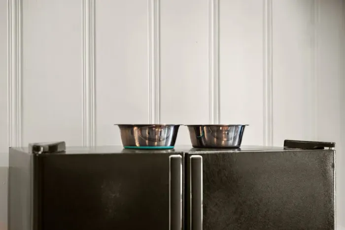 Dog bowls for your pup!