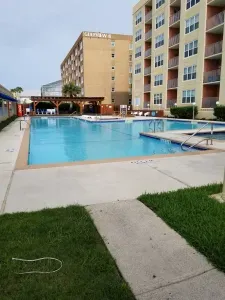 Resort‑style outdoor pool surrounded by loungers, umbrellas, and tall palms, set between modern buildings. A clean, relaxing space perfect for sunbathing, swimming, and enjoying a peaceful retreat during your stay.