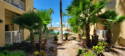 Tropical courtyard pathway lined with swaying palms, lush greenery, and warm architecture, guiding guests toward a sparkling pool. A serene, resort‑style outdoor setting perfect for relaxed strolls, sunny afternoons, and peaceful vacation moments.