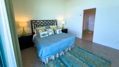 Jr Penthouse 29th Floor Tallest Building SPI - image 64 of 248