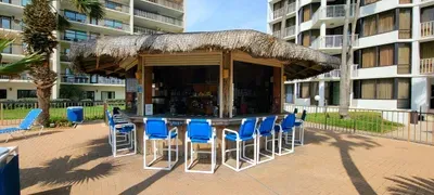 bar at saida is open sporadically on weekends mainly.