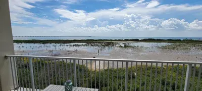 3-Level Bayfront | Boat Dock | Walk-In Pool | SPI - image 68 of 87