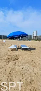 Resort-like beachfront " Heated Pool " - image 22 of 116
