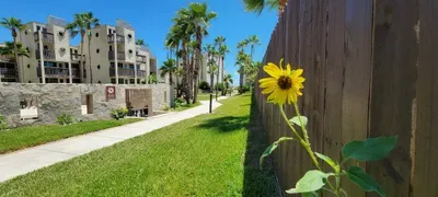 Tons of Beds 1st floor Beachfront Condo 2 Pools - image 41 of 66