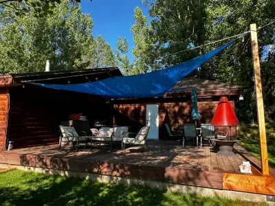 Trees surrounding deck