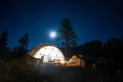 The Domestead - image 14 of 38