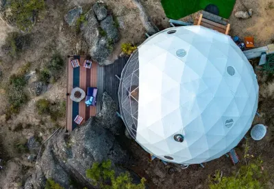 The Domestead - image 12 of 30