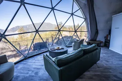 The Domestead - image 4 of 38