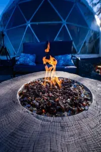 The Domestead - image 24 of 30