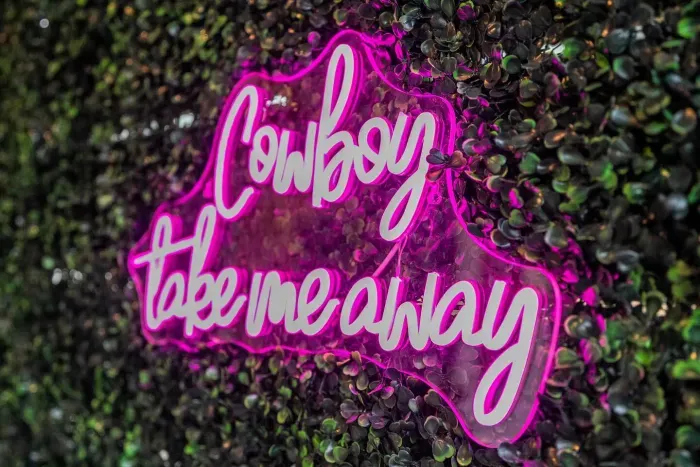 Cowboy take me away... to Cowgirl Dream Cabin