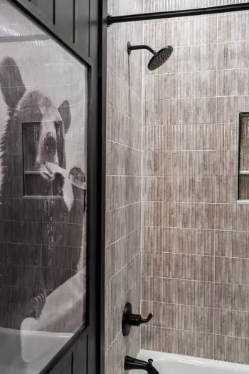 Your daily reminder to brush your teeth!