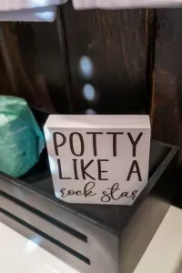 Potty like a Rockstar!
