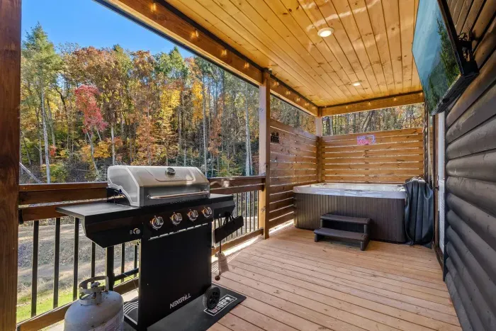 Enjoy the relaxing back porch where you can watch your favorite show while you relax in the hot tub!