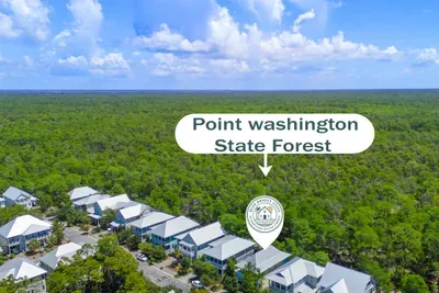 Point Washington State Forest wraps the back of the neighborhood: more than 15,000 protected acres of pine flatwoods and flat, well marked trails, straight off the back of the house.
