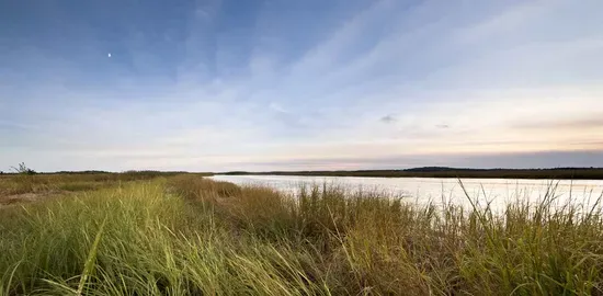 Plum Island Vacation Rentals 