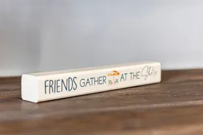 Friends Gather At The Shore