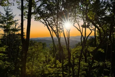 Golden sunset through the trees with sweeping mountain views. Taken from the front porch.