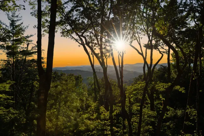 Golden sunset through the trees with sweeping mountain views. Taken from the front porch.