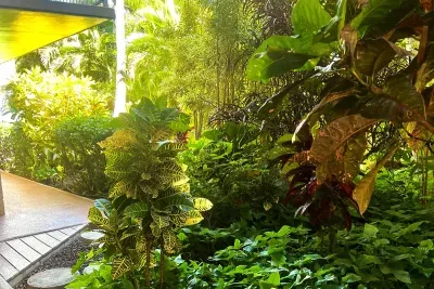 Greenery around the complex