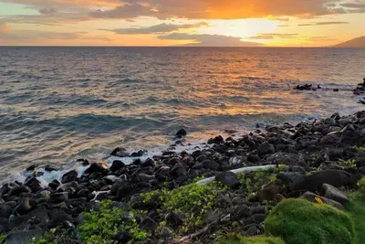 Maui Sunset Oasis - Top Unit w/AC - image 33 of 40