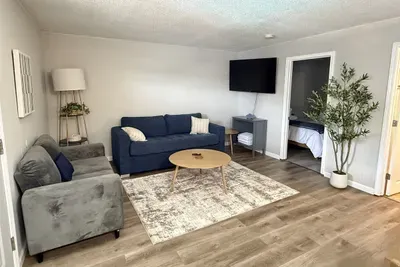 Living room with pull out sofa and new 55 inch smart tv