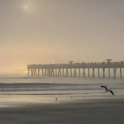 Jacksonville Beach Properties