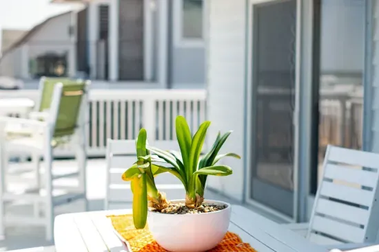 Outdoor living