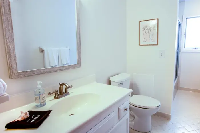 Guest bathrrom
