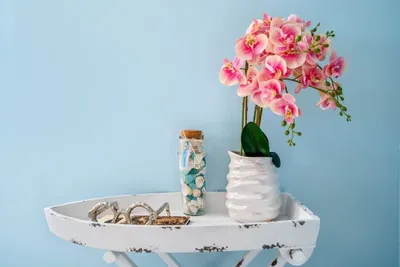 Beach motives and vibrant colors inspire the whole décor.