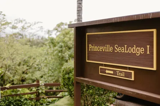 Oceanfront Sealodge - image 54 of 63