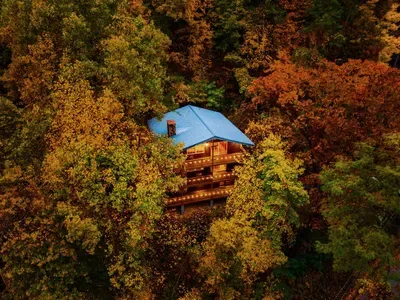 The cabin is nestled in the woods in one of the most desirable areas in Smokies called Chalet Village