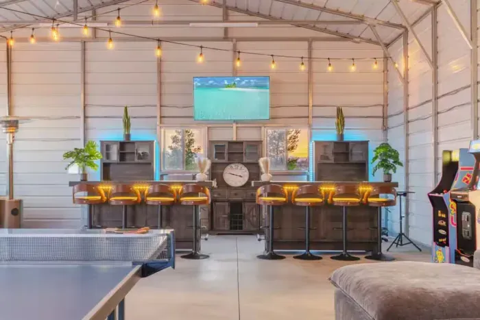 Game & Entertainment Room