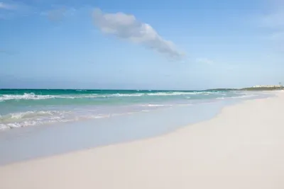 Our Favorite Gulf Beaches featured image