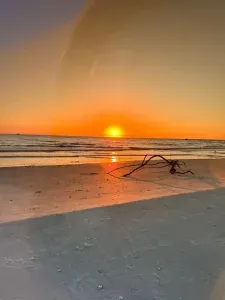 Fiery Gulf Coast sunset from the beach near St. Petersburg, FL — brilliant orange sky, driftwood on white sand, and the horizon glowing over the water. Minutes from this vacation rental.