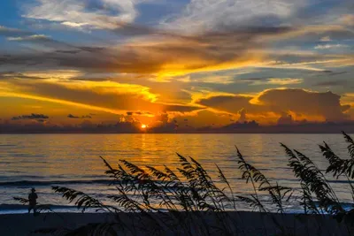 a-golden-sunrise-over-a-florida-beach-with-sea-oat-2026-09-24-23-46-39-utc