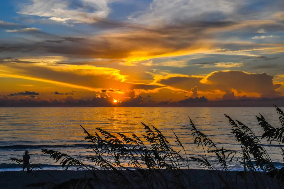 a-golden-sunrise-over-a-florida-beach-with-sea-oat-2026-09-24-23-46-39-utc