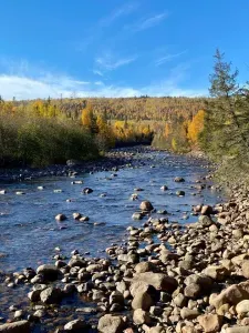 Bike the Gitchi-Gami State Trail from the McAllister right into the Temperance Rive State Park
