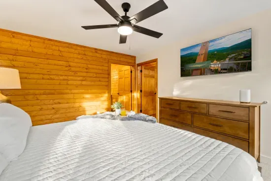 Cozy wood-accent bedroom with TV, dresser, and bright natural light