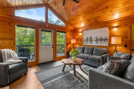 Cozy wood-clad living room with vaulted ceilings and private treetop deck