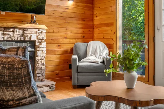 Cozy cabin lounge with stone fireplace and serene forest views