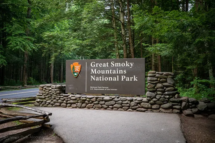 Near Great Smoky Mountains NP—hiking, waterfalls, and scenic drives.