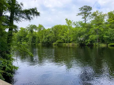 The River House~1225 South Holly Shelter Estate - image 60 of 70